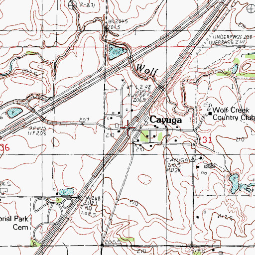 Topographic Map of Cayuga, IL