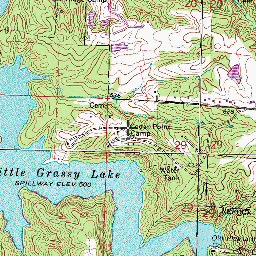 Topographic Map of Cedar Point Camp, IL