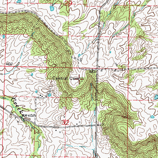 Topographic Map of Central Cemetery, IL