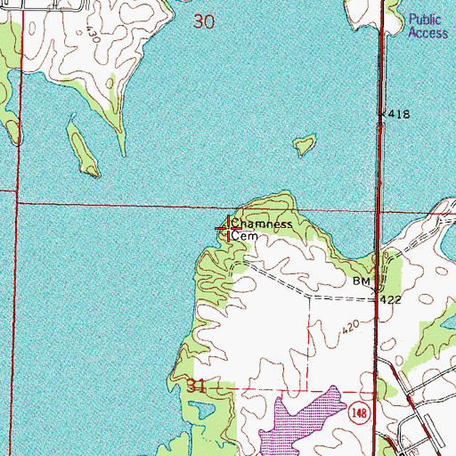 Topographic Map of Chamness Cemetery, IL