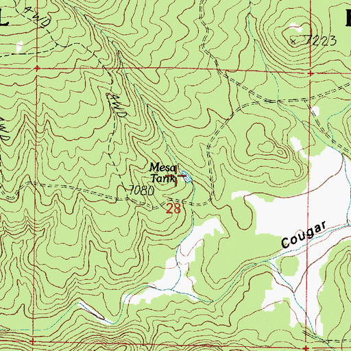 Topographic Map of Mesa Tank, AZ