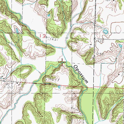 Topographic Map of Coal Creek, IL