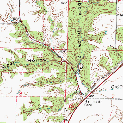 Topographic Map of Coal Hollow, IL