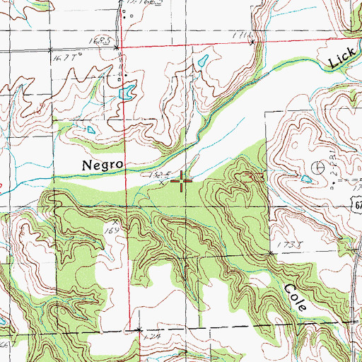 Topographic Map of Cole Branch, IL