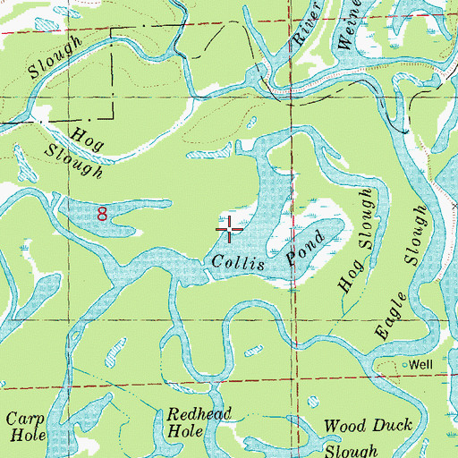 Topographic Map of Collis Pond, IL