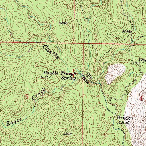 Topographic Map of Double Trough Spring, AZ