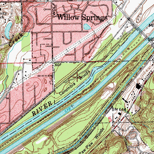 Topographic Map of Columbia Woods, IL