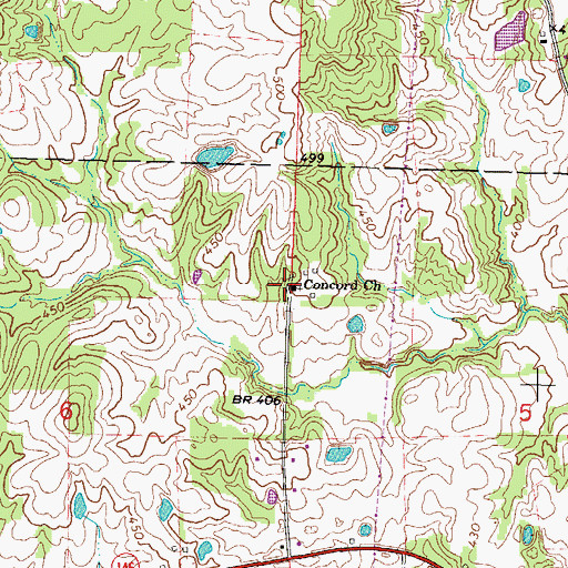 Topographic Map of Concord Church, IL