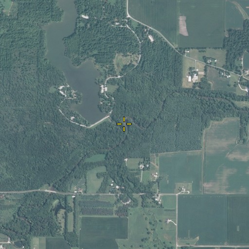 Aerial/Satellite Image of Conkey Branch, IL