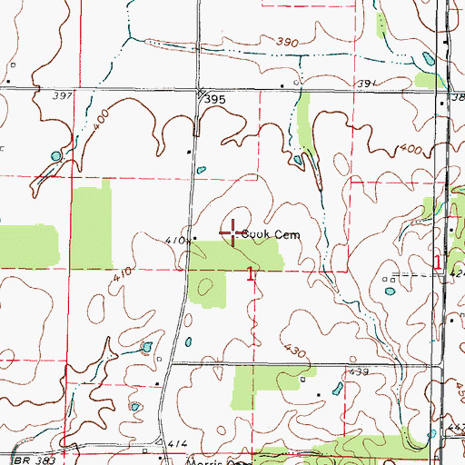 Topographic Map of Cook Cemetery, IL