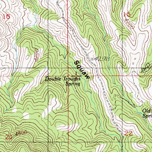Topographic Map of Double Troughs Spring, AZ