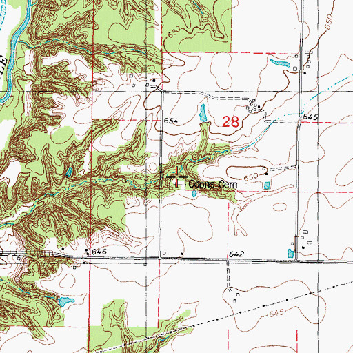 Topographic Map of Coons Cemetery, IL