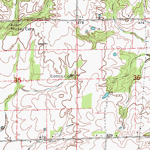 Topographic Map of Cotton Cemetery, IL