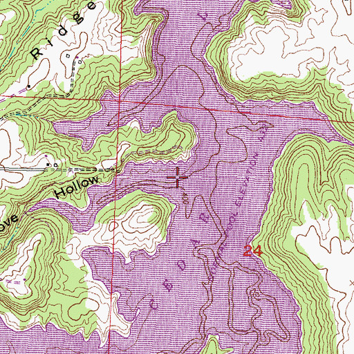 Topographic Map of Cove Hollow, IL