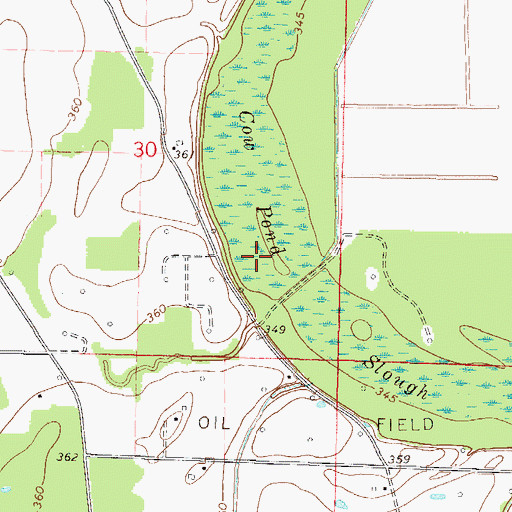 Topographic Map of Cow Pond Slough, IL