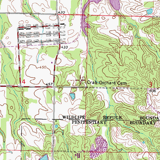 Topographic Map of Crab Orchard Cemetery, IL