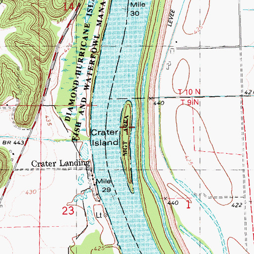 Topographic Map of Crater Island, IL