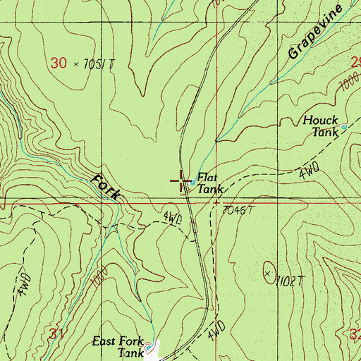 Topographic Map of Flat Tank, AZ