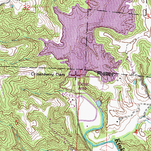 Topographic Map of Crisenberry Dam, IL