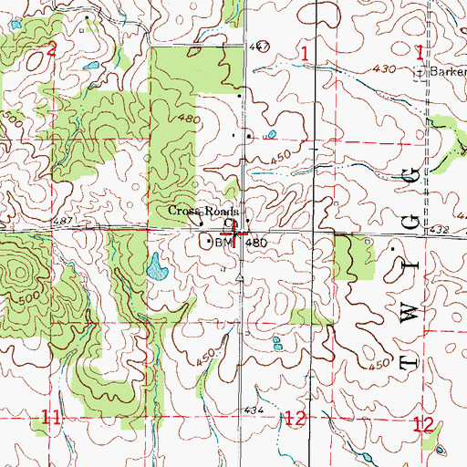 Topographic Map of Cross Roads Church, IL