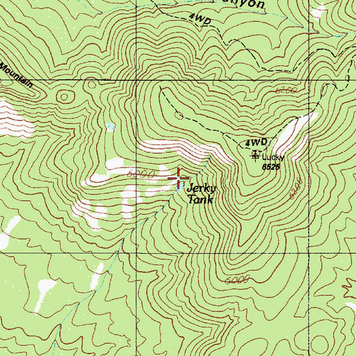 Topographic Map of Jerky Tank, AZ