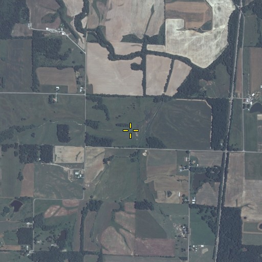 Aerial/Satellite Image of Cub Branch, IL
