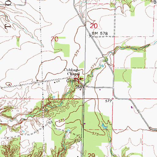 Topographic Map of Cubbage Chapel, IL
