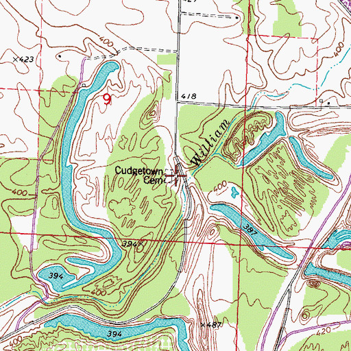 Topographic Map of Cudgetown Cemetery, IL