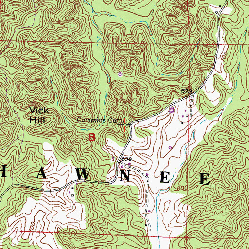 Topographic Map of Cummins Cemetery, IL