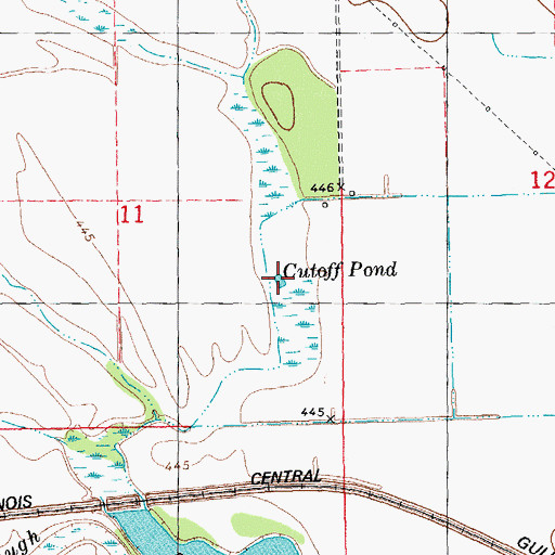Topographic Map of Cutoff Pond, IL