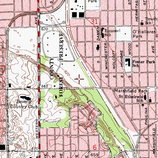 Topographic Map of Dan Ryan Woods, IL