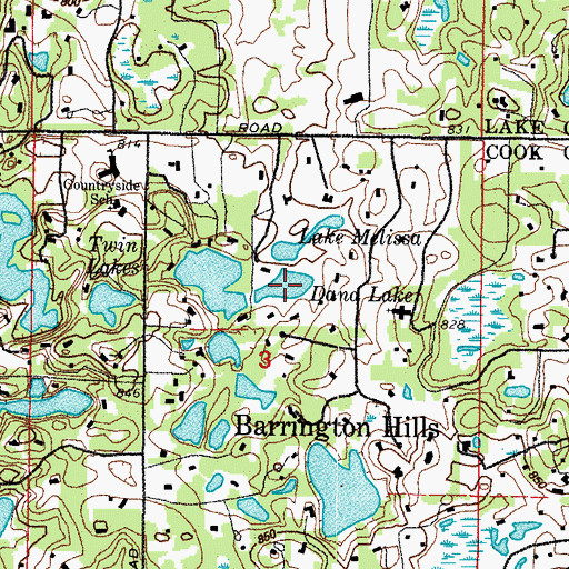 Topographic Map of Dana Lake, IL