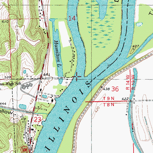 Topographic Map of Dark Chute, IL