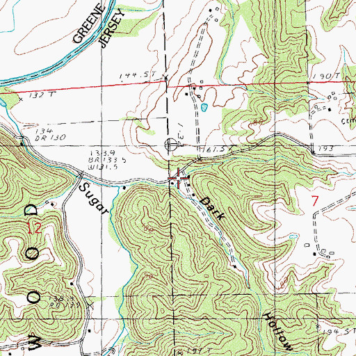 Topographic Map of Dark Hollow, IL