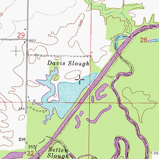 Topographic Map of Davis Slough, IL