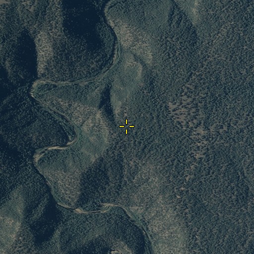 Aerial/Satellite Image of Larson Spring Tank, AZ