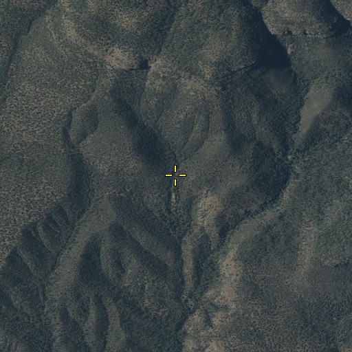 Aerial/Satellite Image of Naegelin Spring, AZ