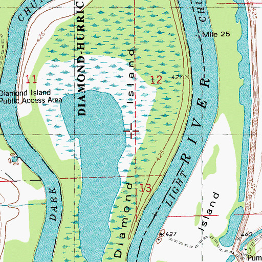 Topographic Map of Diamond Island, IL