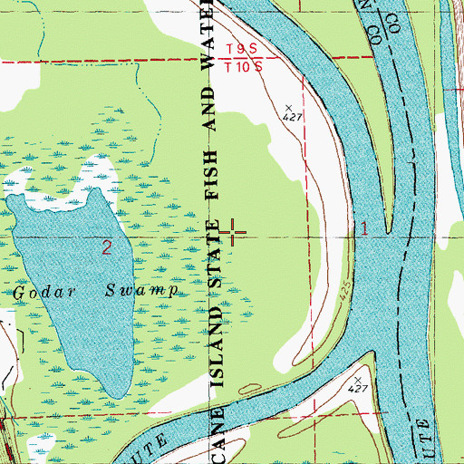 Topographic Map of Diamond-Hurricane Island State Fish and Waterfowl Management Area, IL