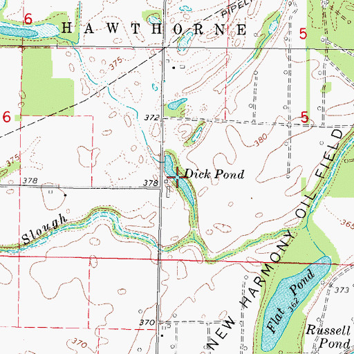 Topographic Map of Dick Pond, IL