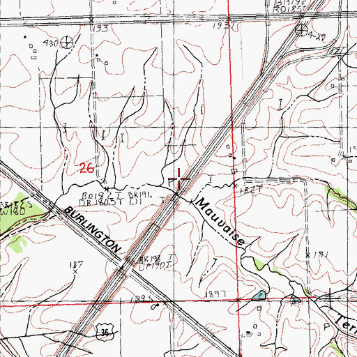 Topographic Map of Dick Woods Branch, IL