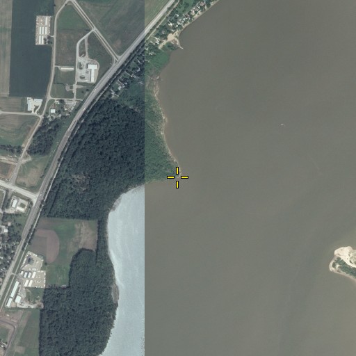 Aerial/Satellite Image of Dickison Run, IL