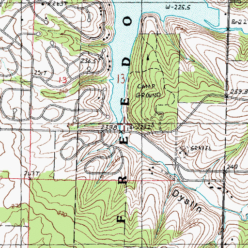 Topographic Map of Dyslin Valley, IL