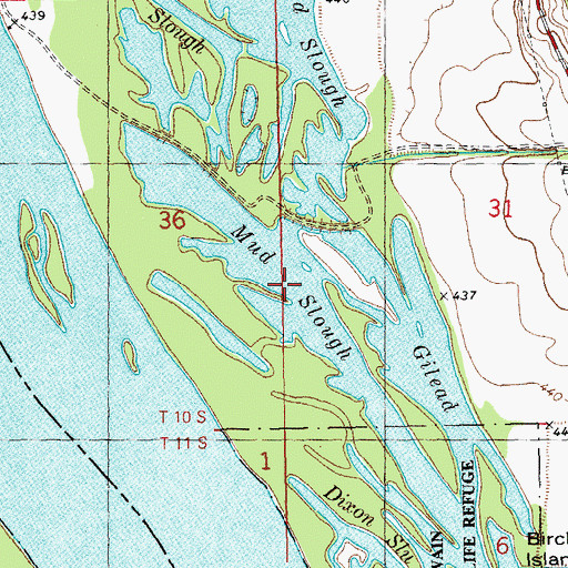 Topographic Map of Dixon Slough, IL