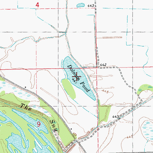 Topographic Map of Dolman Pond, IL