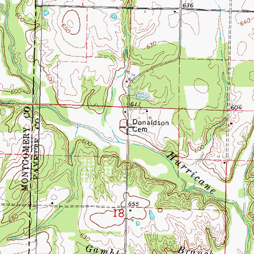 Topographic Map of Donaldson Cemetery, IL