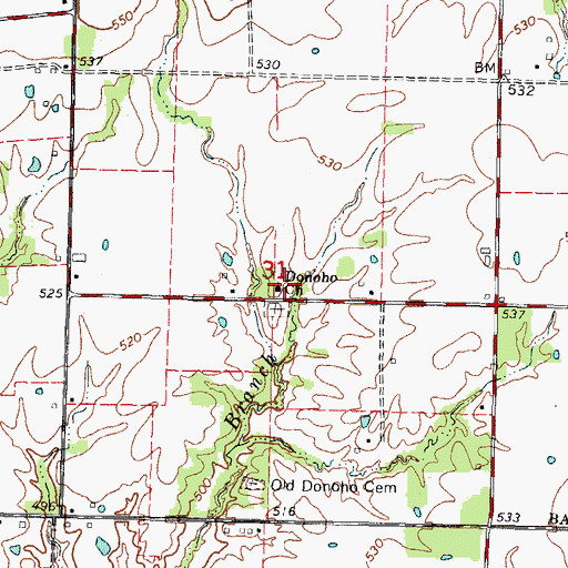 Topographic Map of Donoho Church, IL