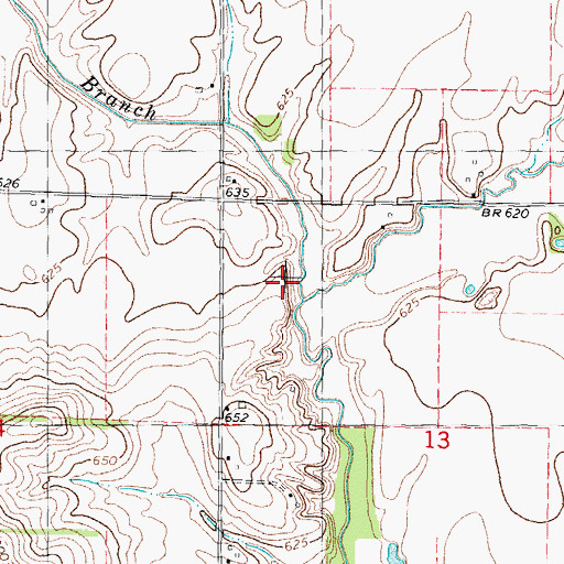 Topographic Map of Dry Branch, IL