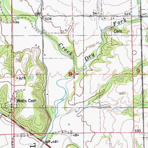 Topographic Map of Dry Fork, IL