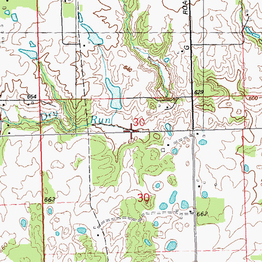 Topographic Map of Dry Run, IL